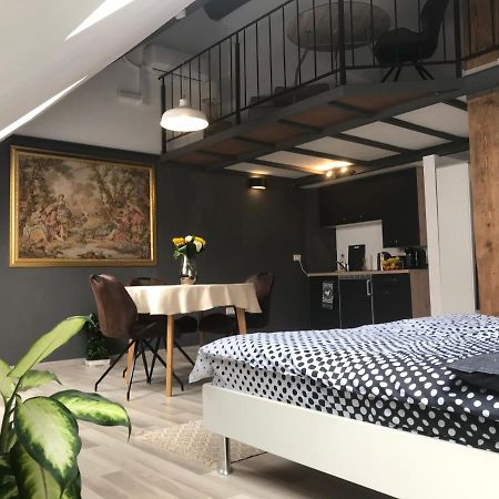 Savoya Nr2 Loft Studio Old City Center Self Check-In Workspace Timisoara Ngoại thất bức ảnh