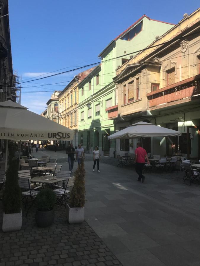 Savoya Nr2 Loft Studio Old City Center Self Check-In Workspace Timisoara Ngoại thất bức ảnh