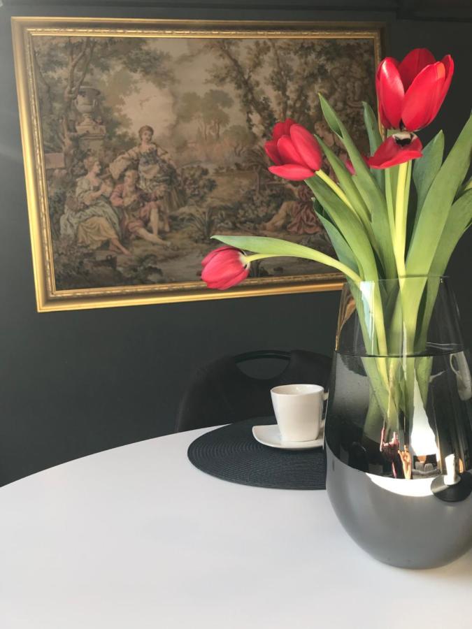 Savoya Nr2 Loft Studio Old City Center Self Check-In Workspace Timisoara Ngoại thất bức ảnh