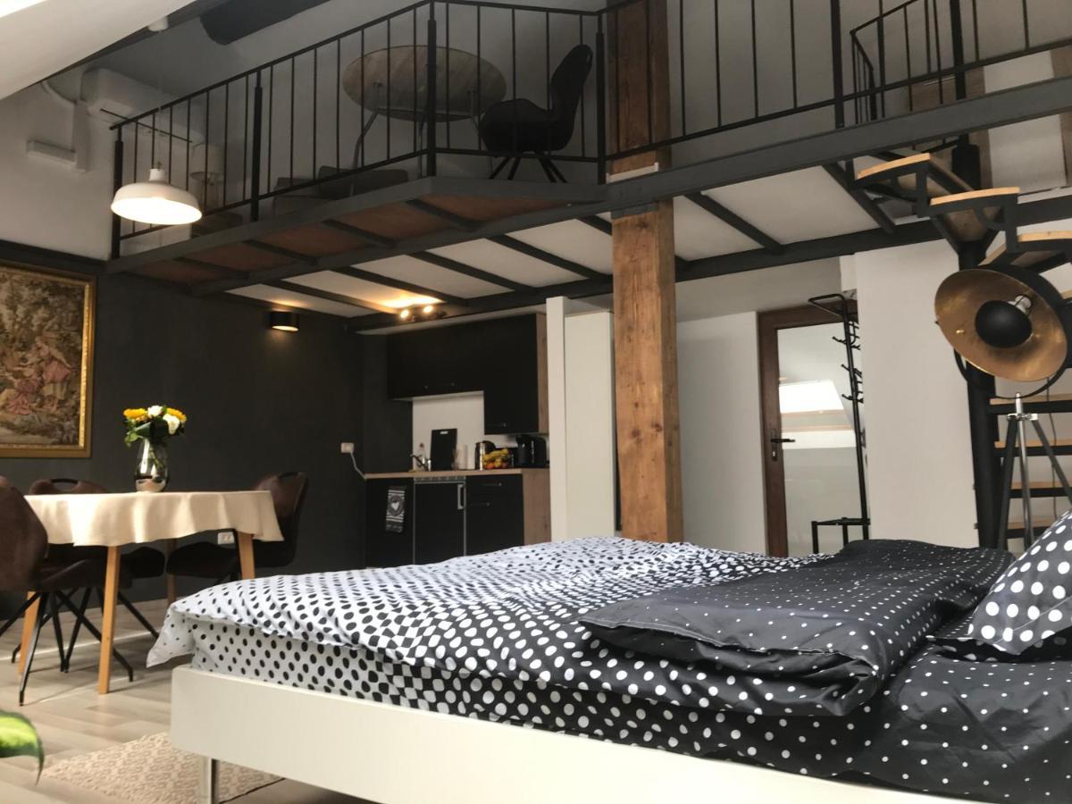 Savoya Nr2 Loft Studio Old City Center Self Check-In Workspace Timisoara Ngoại thất bức ảnh