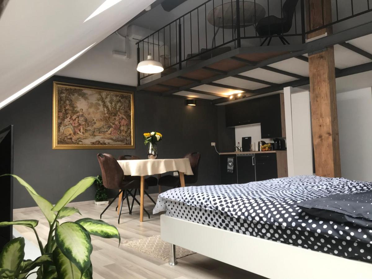 Savoya Nr2 Loft Studio Old City Center Self Check-In Workspace Timisoara Ngoại thất bức ảnh