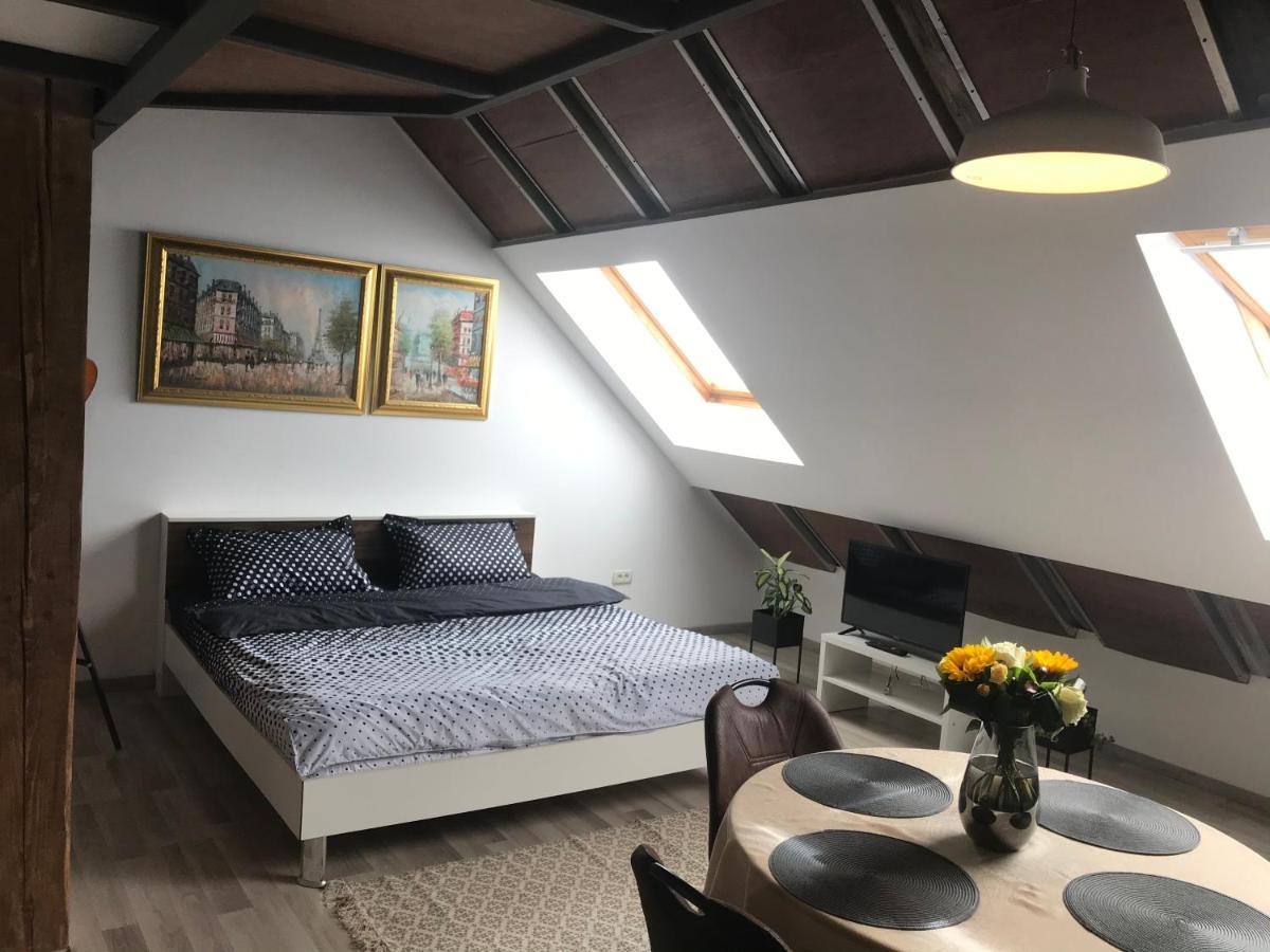 Savoya Nr2 Loft Studio Old City Center Self Check-In Workspace Timisoara Ngoại thất bức ảnh