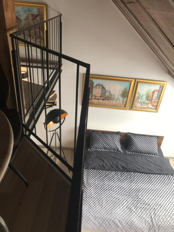 Savoya Nr2 Loft Studio Old City Center Self Check-In Workspace Timisoara Ngoại thất bức ảnh