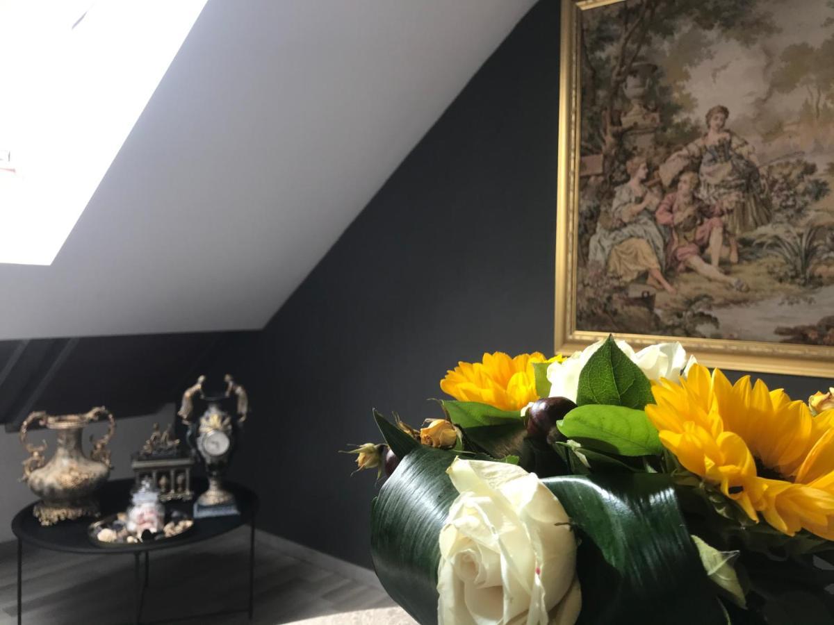 Savoya Nr2 Loft Studio Old City Center Self Check-In Workspace Timisoara Ngoại thất bức ảnh