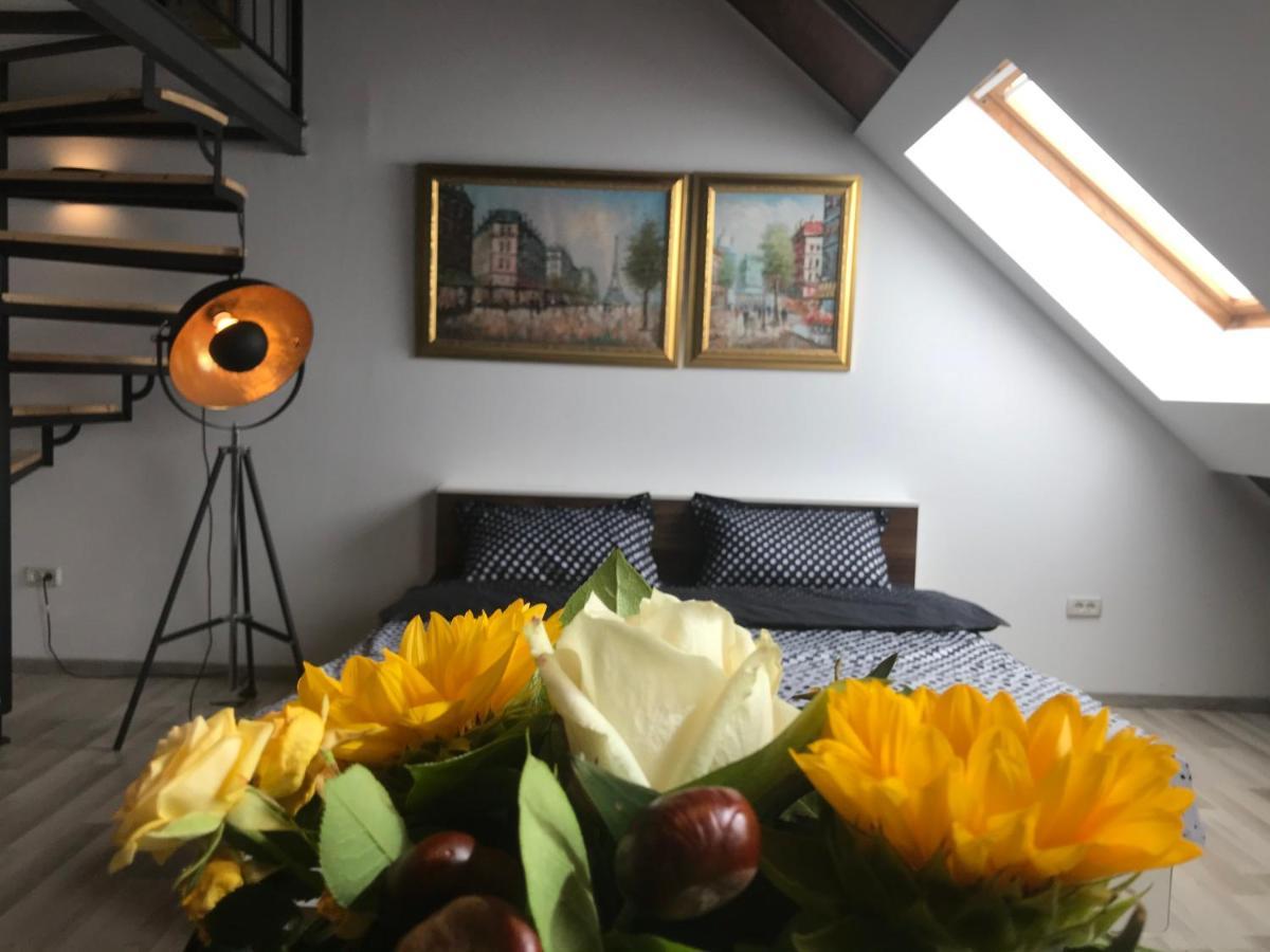 Savoya Nr2 Loft Studio Old City Center Self Check-In Workspace Timisoara Ngoại thất bức ảnh