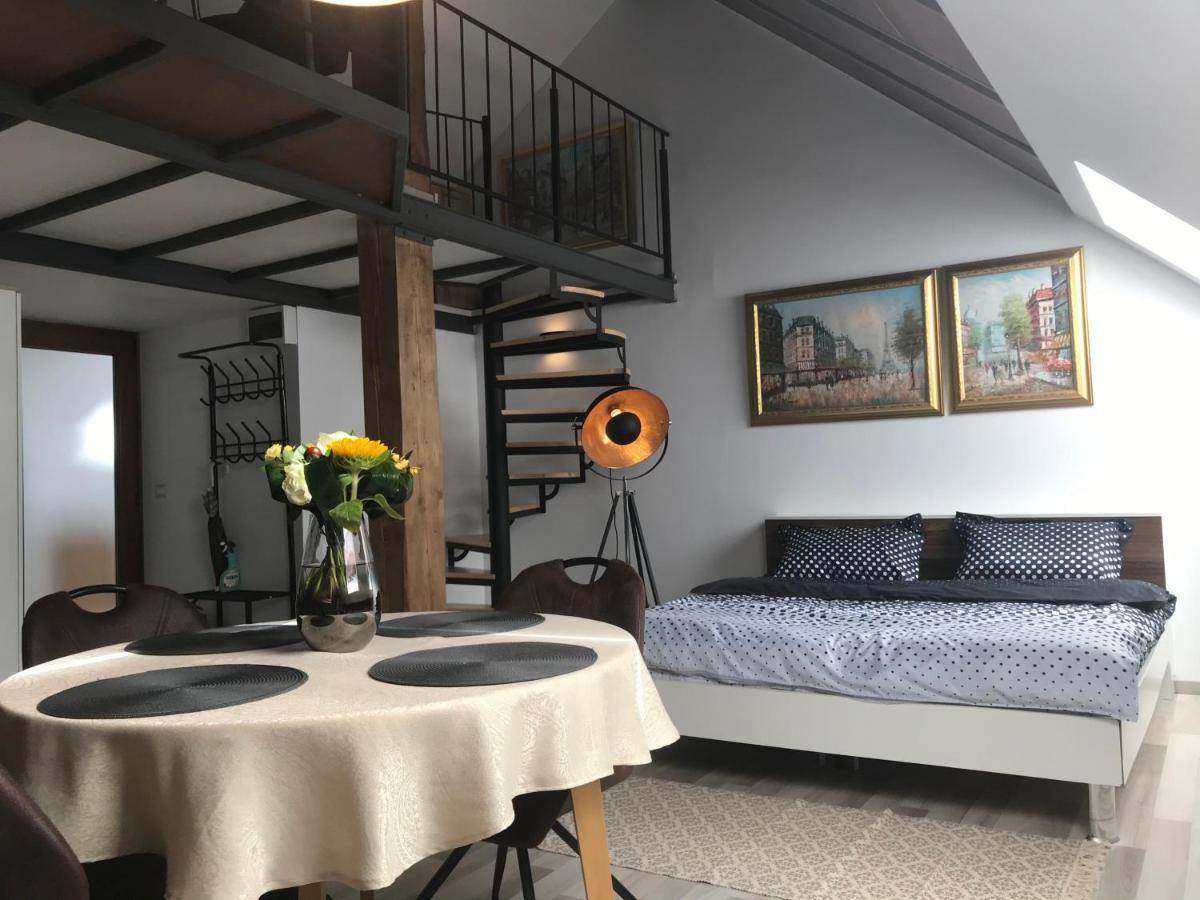 Savoya Nr2 Loft Studio Old City Center Self Check-In Workspace Timisoara Ngoại thất bức ảnh